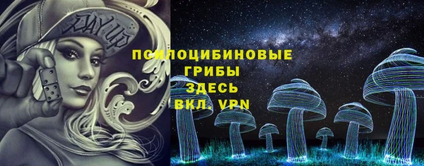 гидропоника Горняк