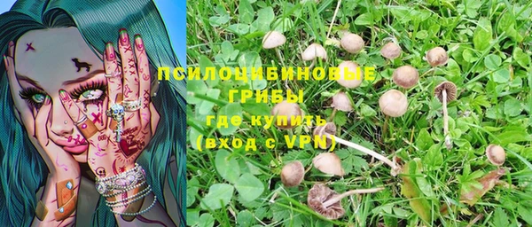 гидропоника Горняк
