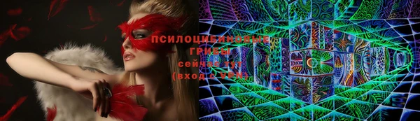 ALPHA PVP Горнозаводск