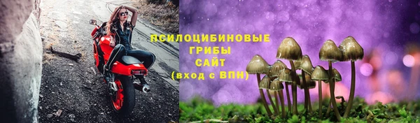 ALPHA PVP Горнозаводск