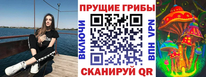 Псилоцибиновые грибы Psilocybine cubensis  сколько стоит  Павловск 